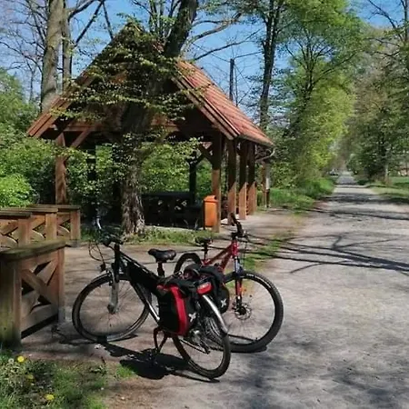 Vakantieboerderij Nad Zalewem Pakoslaw (Greater Poland)