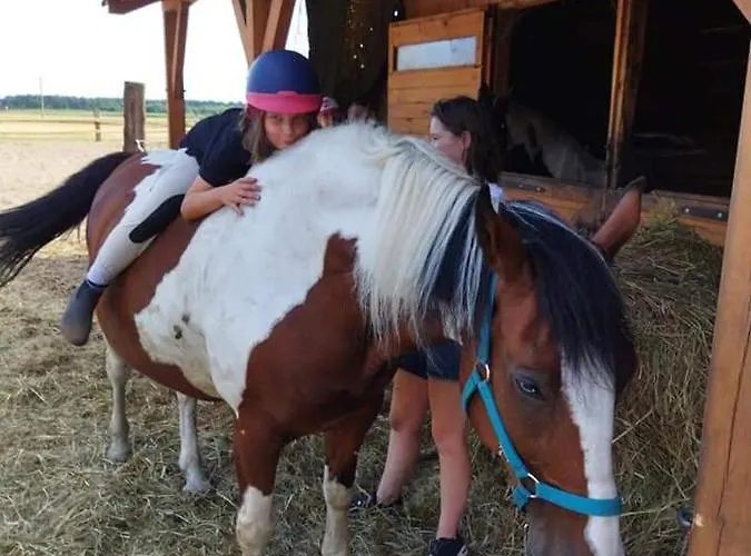 Nad Zalewem Pakoslaw (Greater Poland)