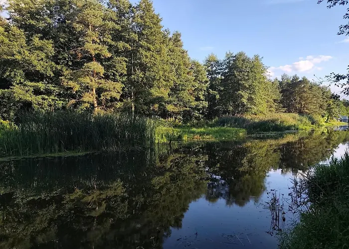 Фермерский дом Nad Zalewem Pakoslaw (Greater Poland)